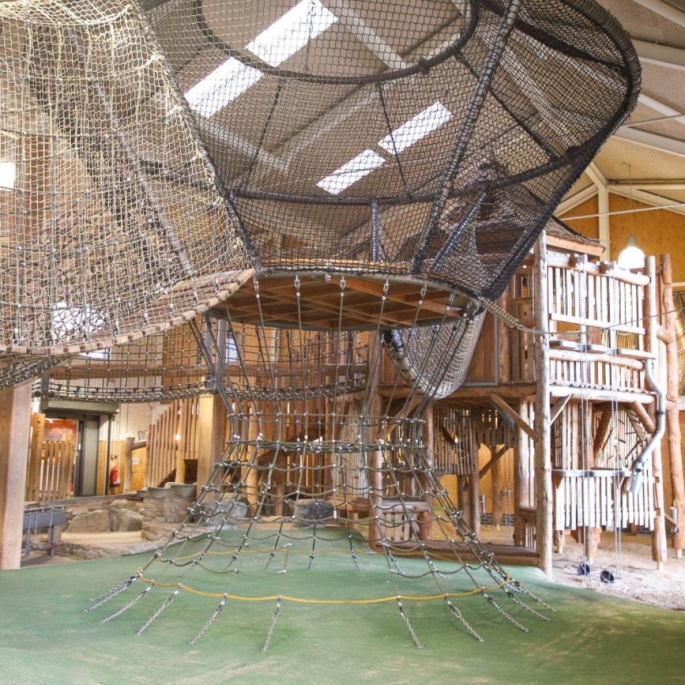 indoor den climbing spider net
