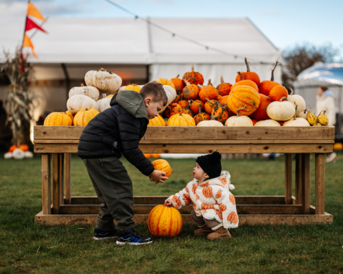 Yorkshire family Halloween event featuring a mystery adventure down Trick or Treat Street, spooky characters, interactive Halloween experiences, and family activities.
