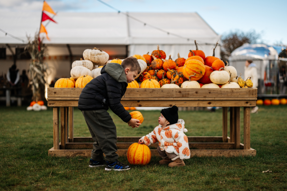 Yorkshire family Halloween event featuring a mystery adventure down Trick or Treat Street, spooky characters, interactive Halloween experiences, and family activities.