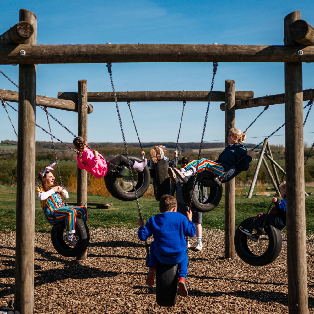 children playing on the tyre swings