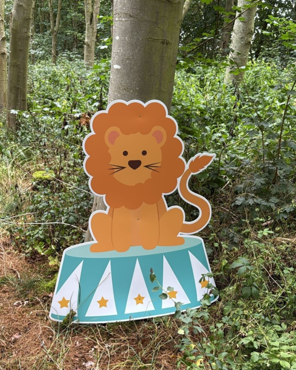 Lion Circus in woodlands
