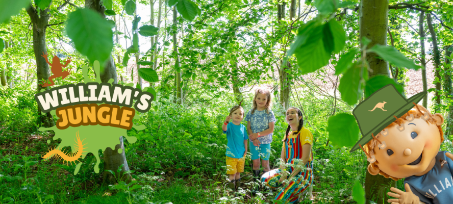 jungle adventures image and logo