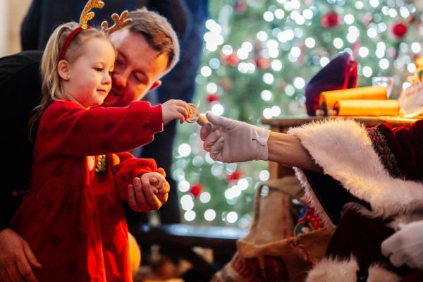 little girl meeting father christmas