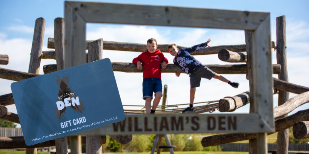 Two Boys playing at William's Den and image of gift card