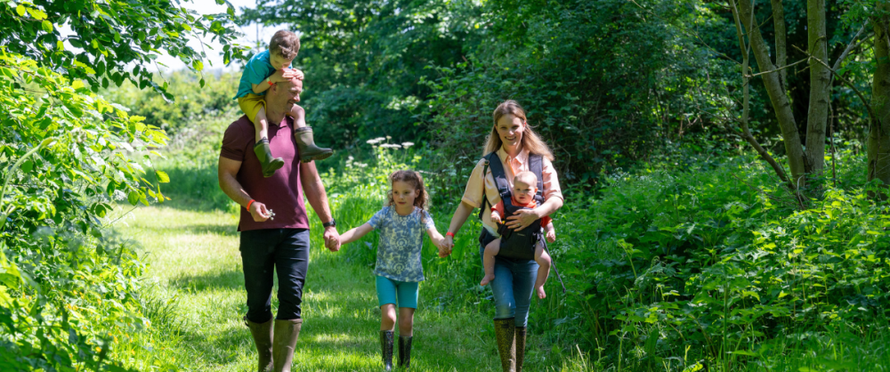 Family walking hand in hand through William's Den woodland