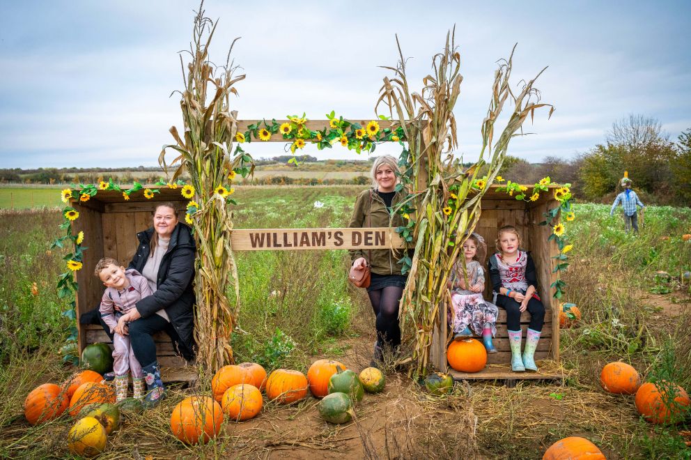 pumpkin picking